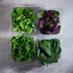 bora-plastik-gastronom-polikar-20632_2