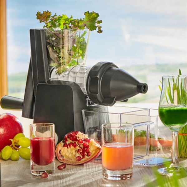 lurch-slow-juicer-13889_4 lurch-slow-juicer-13889_4