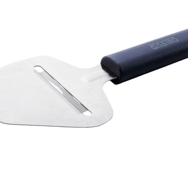 pirge-gastro-pmg-sert-peynir-d-3209_5 pirge-gastro-pmg-sert-peynir-d-3209_5