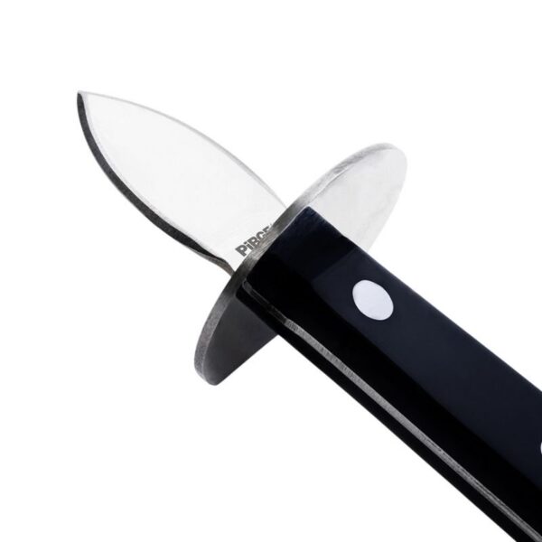 pirge-istiridye-acacagi-3174_4 pirge-istiridye-acacagi-3174_4