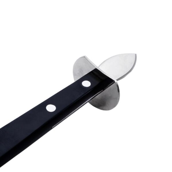 pirge-istiridye-acacagi-3174_5 pirge-istiridye-acacagi-3174_5