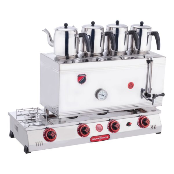 silverinox-elektrikli-ve-doga-16778_1 silverinox-elektrikli-ve-doga-16778_1