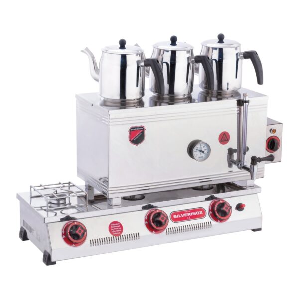 silverinox-elektrikli-ve-doga-16779_1 silverinox-elektrikli-ve-doga-16779_1