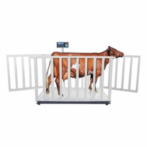 Tem Büyükbaş Canlı Hayvan Baskülü 1500 kg 110x240cm